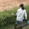 MAKITA Stånghäcksax EN401MP| Multiverktyg Tillbehör
